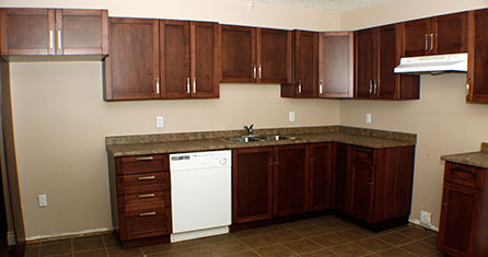 Cambrian Heights - Kitchen